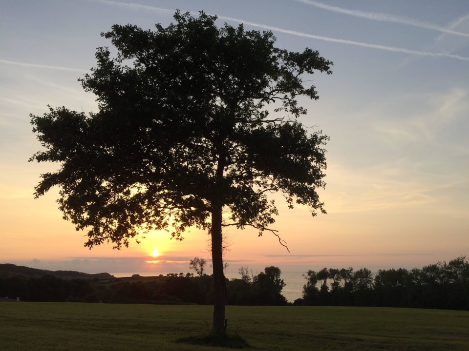 Gartenanlage mit Blick zum Meer Pierre & Vacances Residenz Le Domaine de Bordaberry