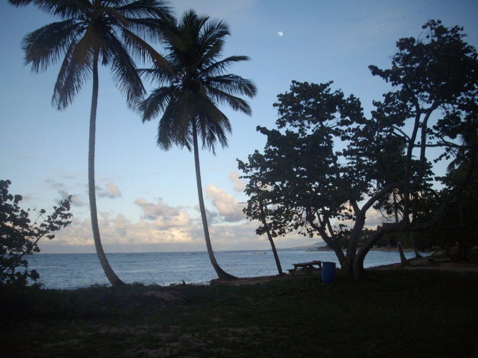 Strand und Meer Bahia Principe Grand El Portillo