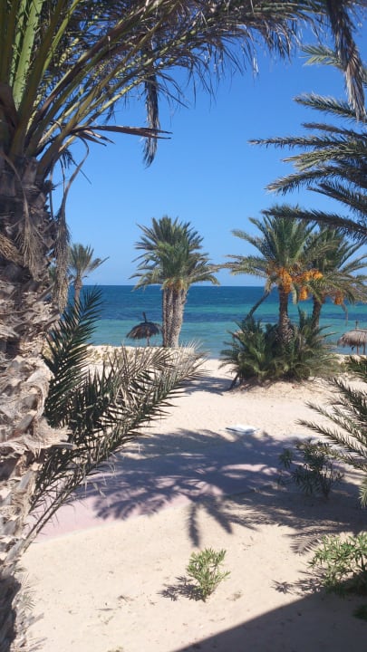 Aublick aus unserem Zimmer Bungalow D Hotel El Mouradi Djerba Menzel