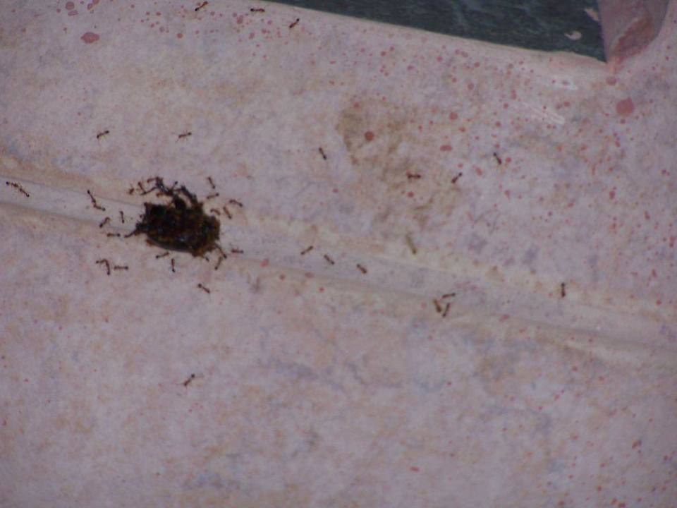 Badezimmer Hotel Hauza Beach Resort