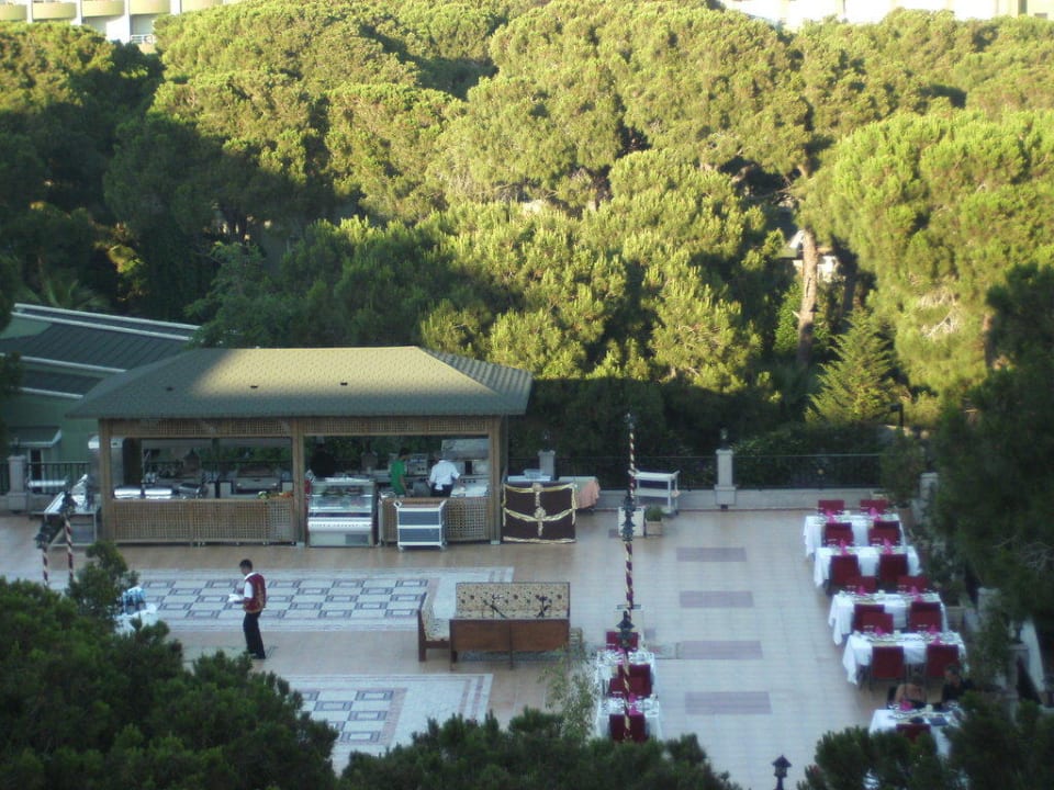 Ein Spezialitätenrestaurant Papillon Ayscha