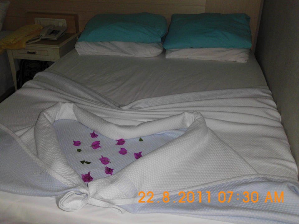 Aufmerksamkeit der Putzfrau Can Garden Beach