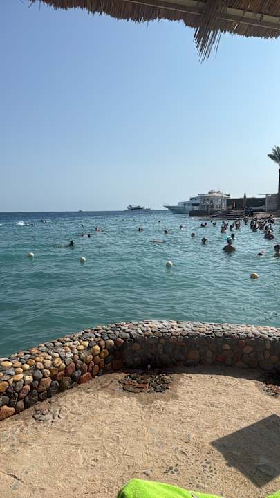 Strand Seagull Beach Resort