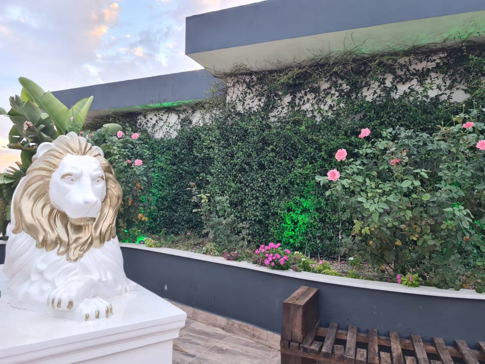 Gartenanlage Dream World Palace Hotel