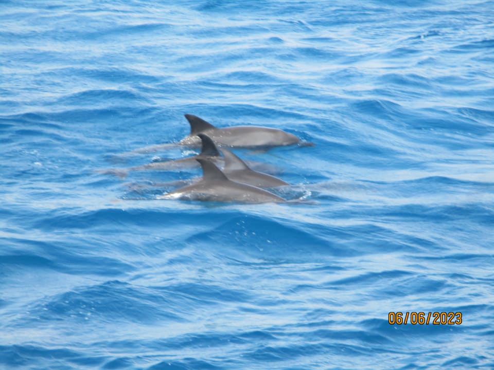 Sport & Freizeit Hotel Mercure Hurghada