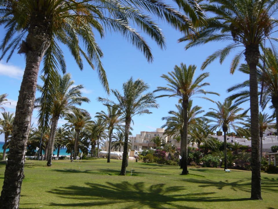 Gartenanlage SBH Hotel Costa Calma Palace