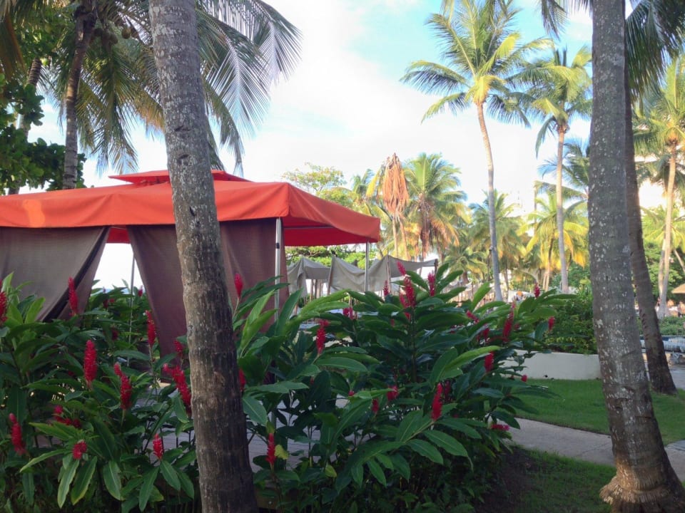 Внутренняя территория отеля El San Juan Resort & Casino, a Hilton Hotel