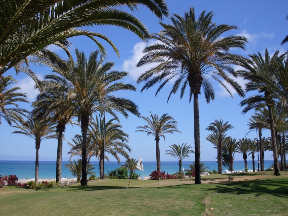 Golf-Übungsplatz im Hotelgarten SBH Hotel Costa Calma Palace