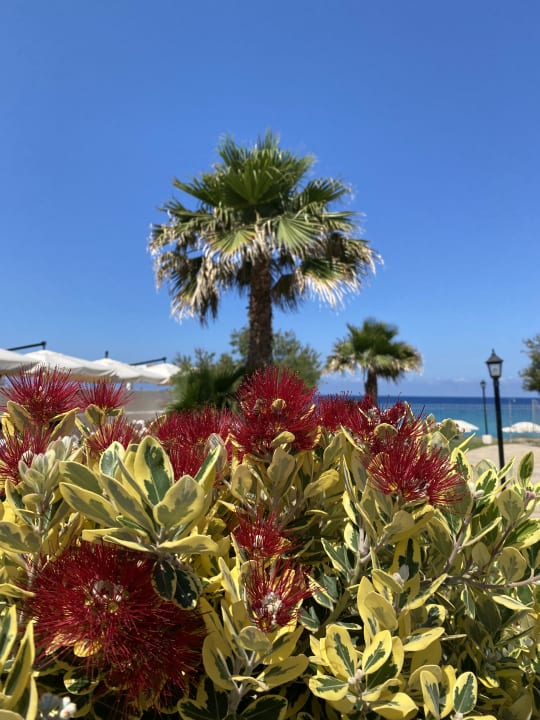 Gartenanlage BV Borgo del Principe