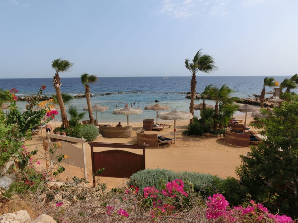Strand Pickalbatros Citadel Resort