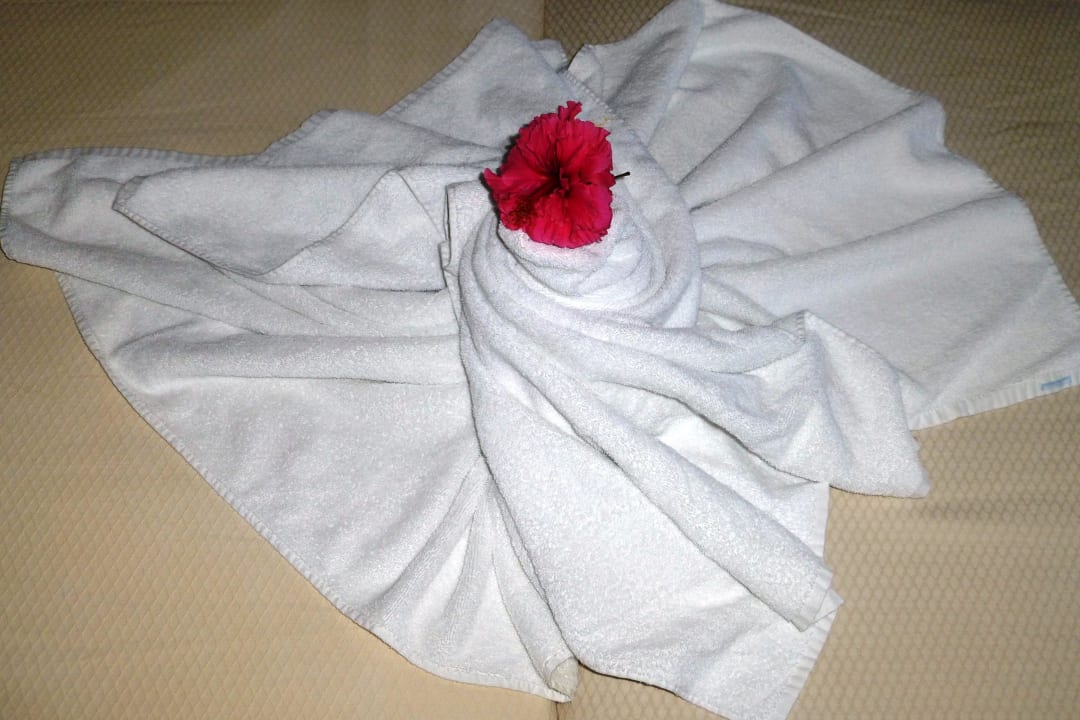 Handtuchkreation Melia Las Dunas