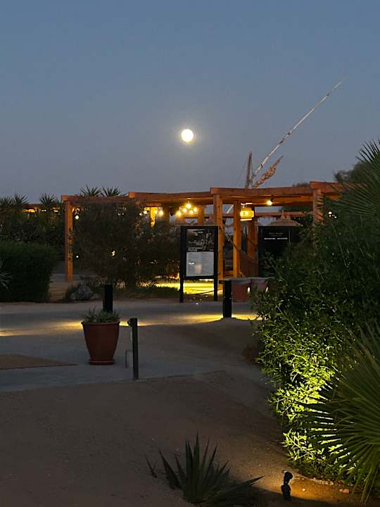 Gartenanlage Casa Cook El Gouna - Adults Only