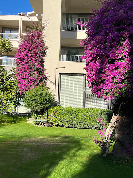 Gartenanlage Arum Barut Collection