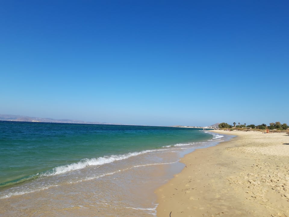 Strand Plaza Beach Hotel