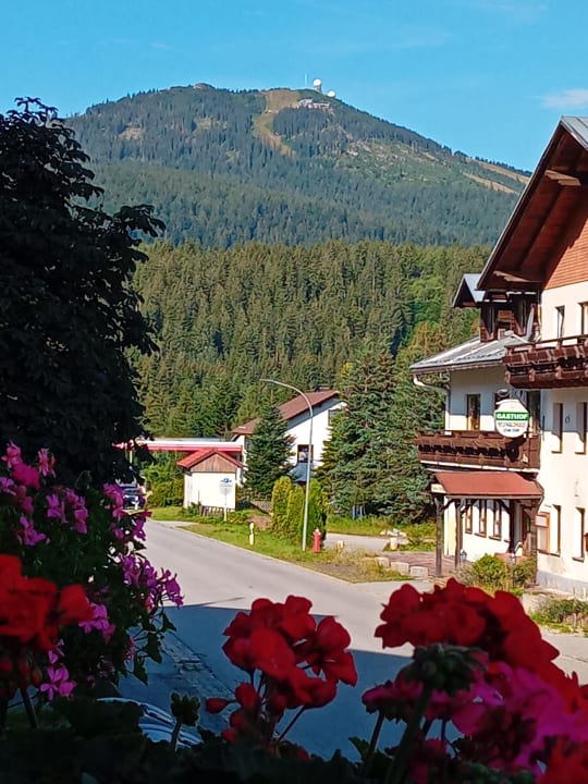 Ausblick Hotel Das Waldkönig