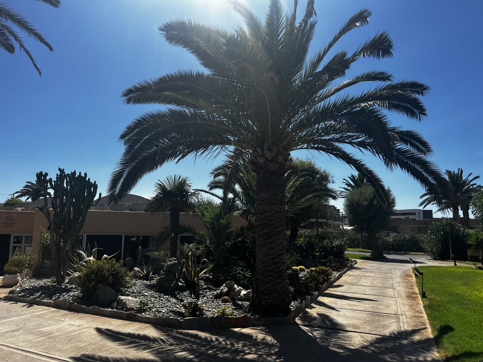 Gartenanlage Anissa Beach & Village