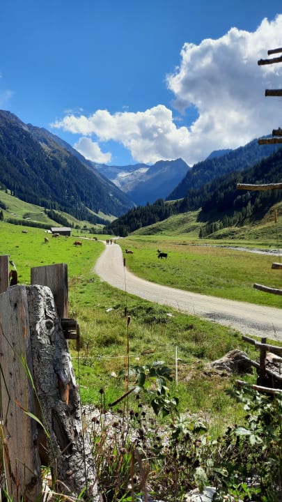 Ausblick Hotel Jörglerhof