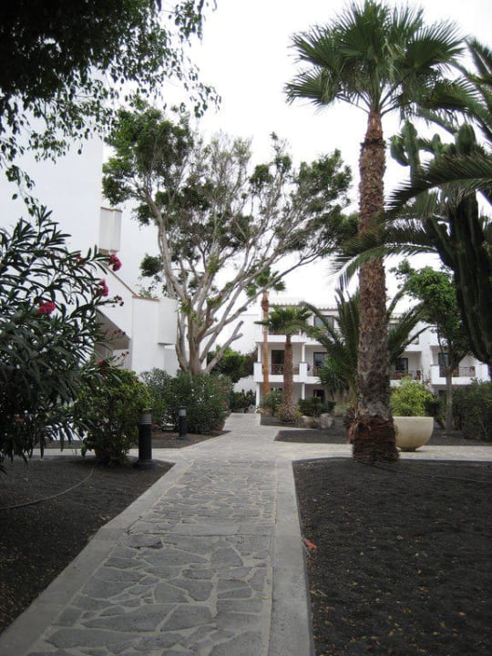 Garten allsun App.-Hotel Albatros