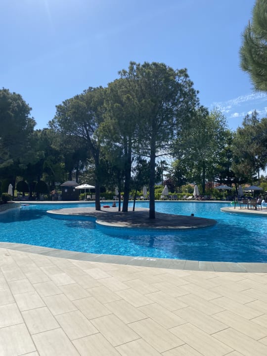 Pool IC Hotels Green Palace