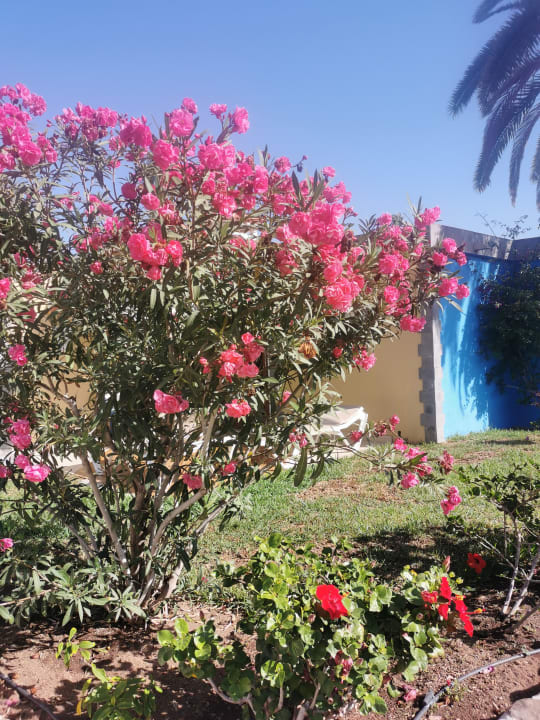 Gartenanlage HL Miraflor Suites Hotel