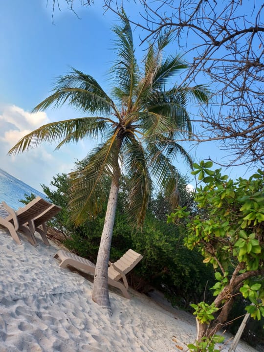 Strand Embudu Village