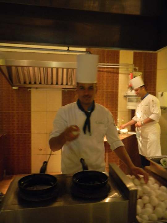 Personal Pickalbatros Palace Resort