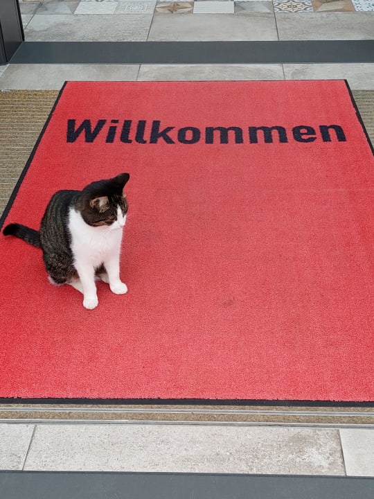 Sonstiges Hotel Sterr