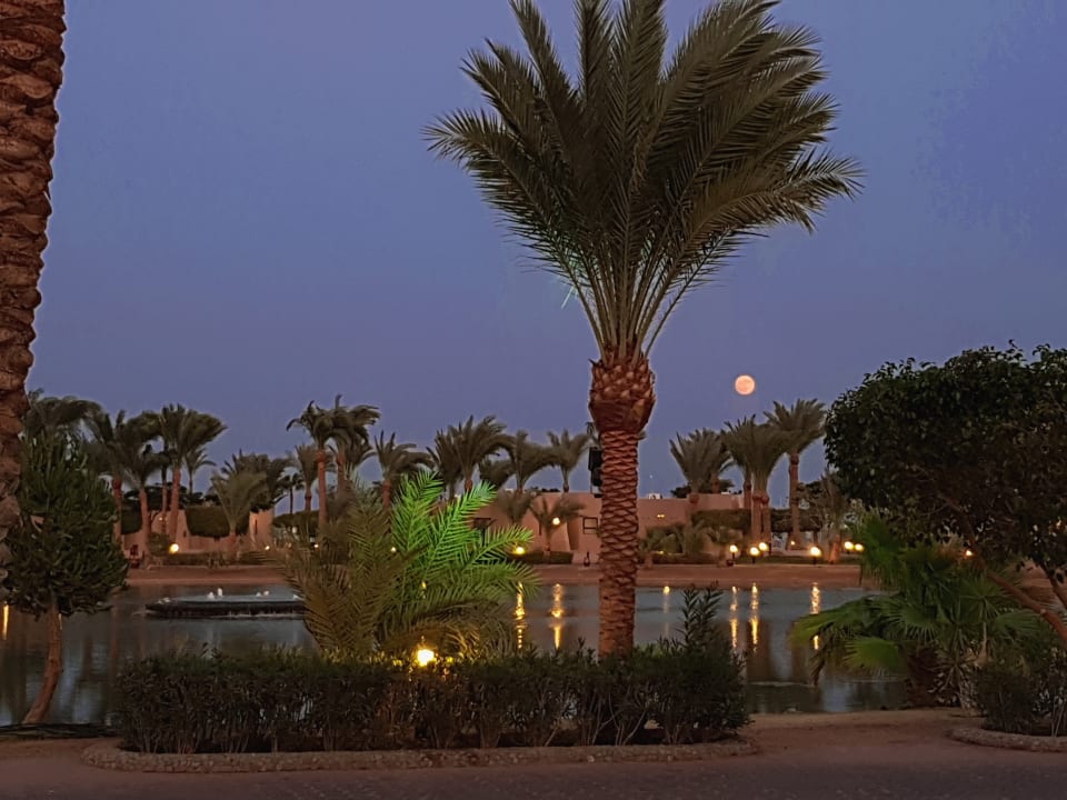 Gartenanlage Pharaoh Azur Resort