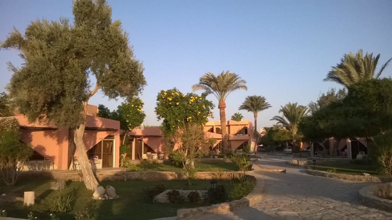 Innenanlage...1 Eagles Paradise Abu Soma