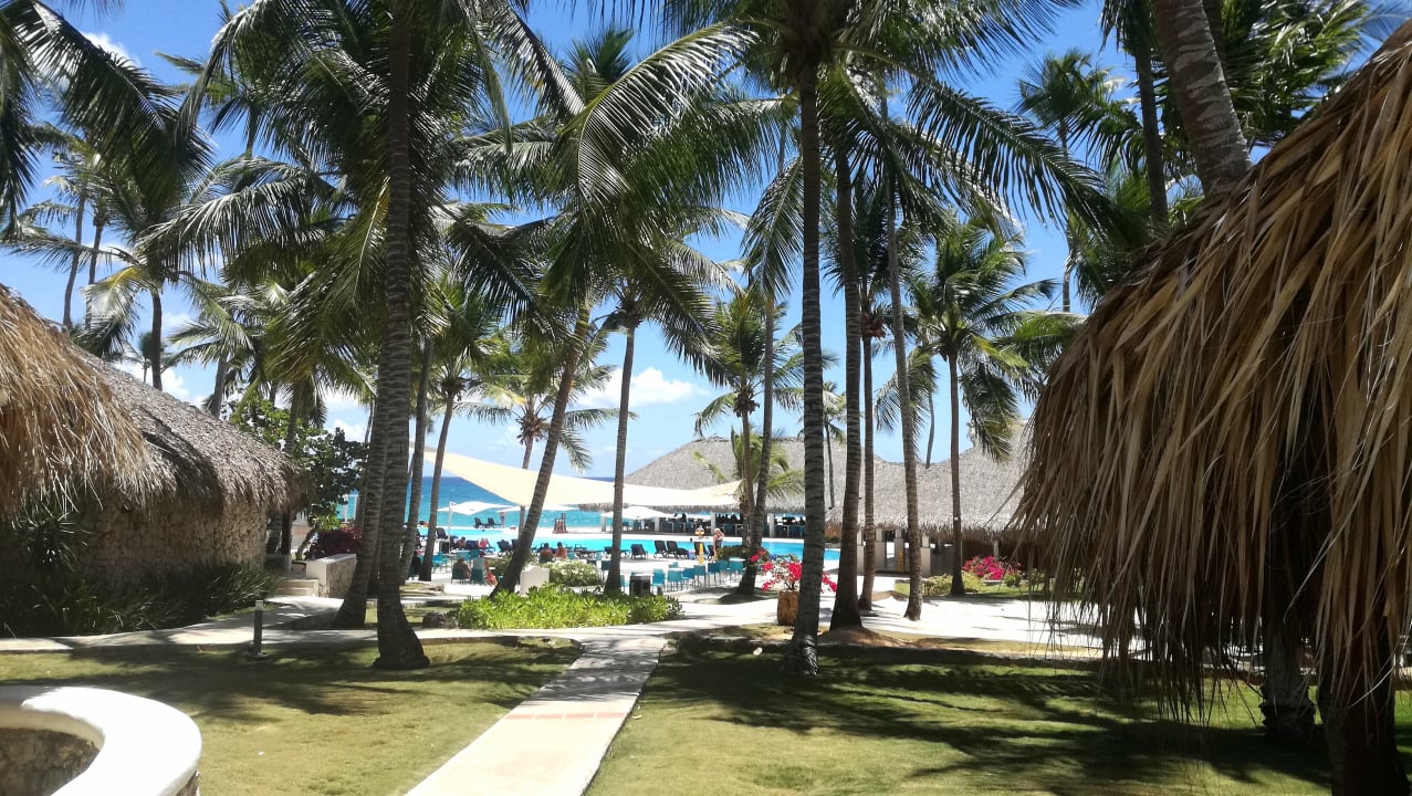 Gartenanlage Hotel Viva Dominicus Beach by Wyndham - All Inclusive Resort