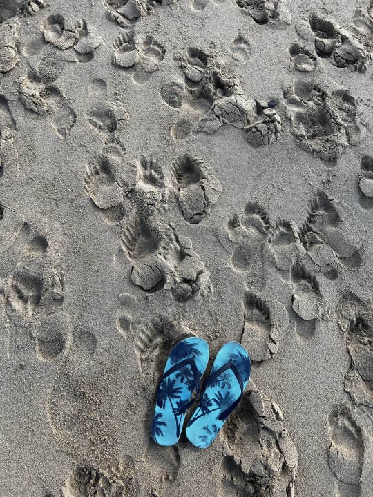 Strand Marina Playa Suite Hotel