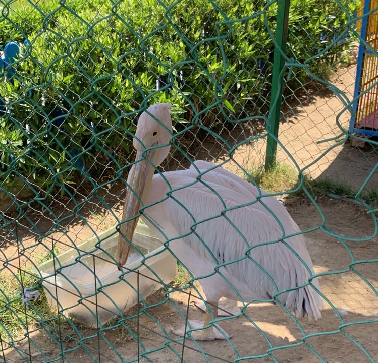 Gartenanlage Riviera Aqua Park Resort