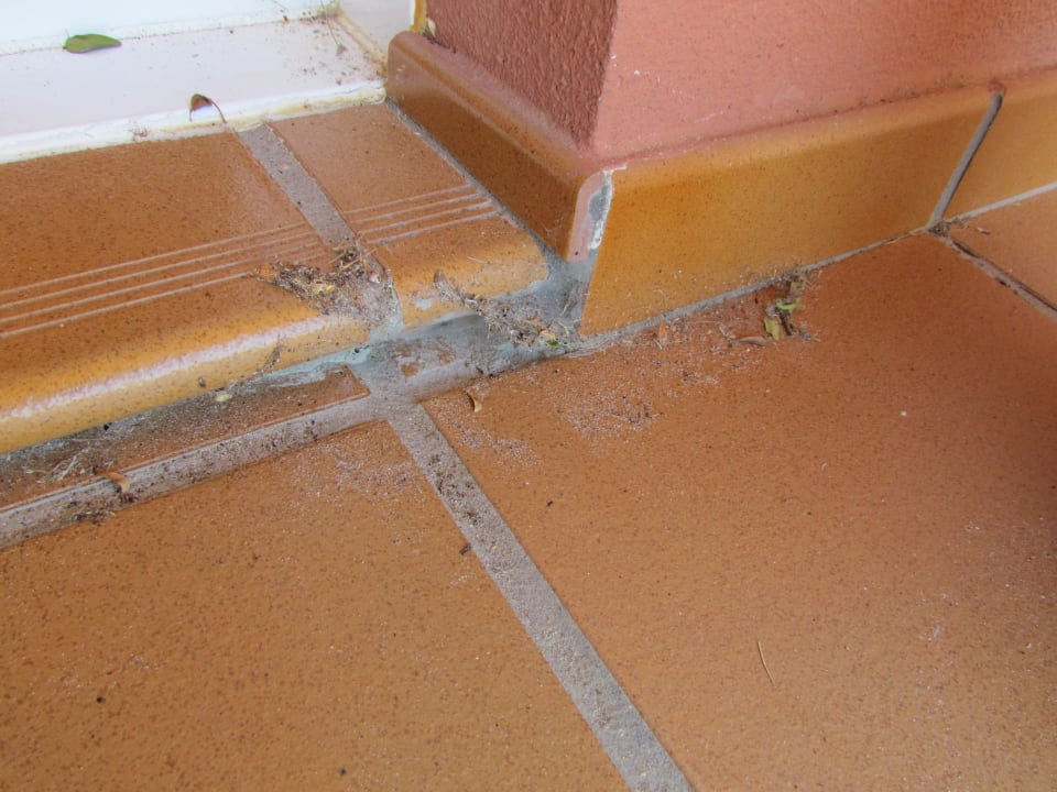 Dreck Ilunion Sancti Petri