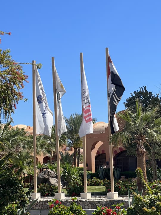 Gartenanlage Jaz Makadi Oasis Resort