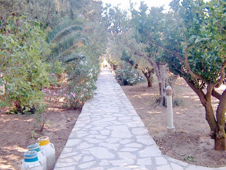 Gartenanlage The Orangers Beach Resort and Bungalows