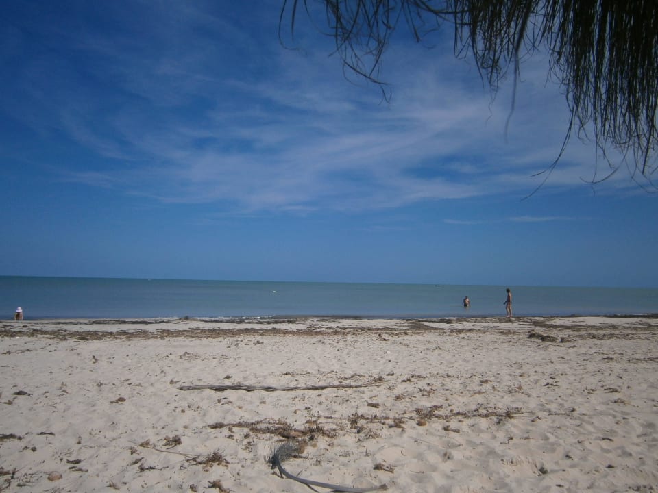 Hauptstrand Hotel El Mouradi Djerba Menzel