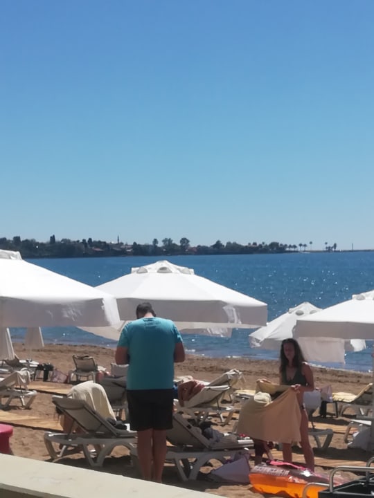 Strand Acanthus Cennet Barut Collection