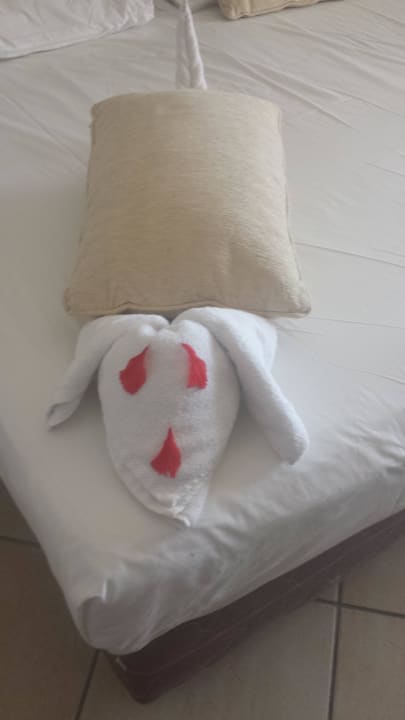 Handtuchhund Jaz Mirabel Park & Club