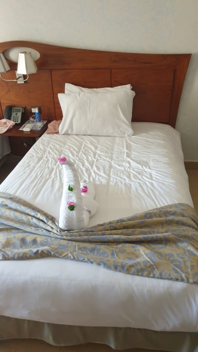 Zimmer Stella Garden Resort & Spa, Makadi Bay