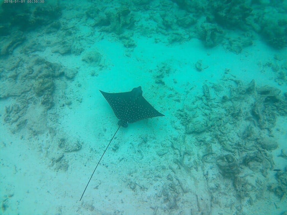 Sport & Freizeit NH Collection Maldives Reethi Resort