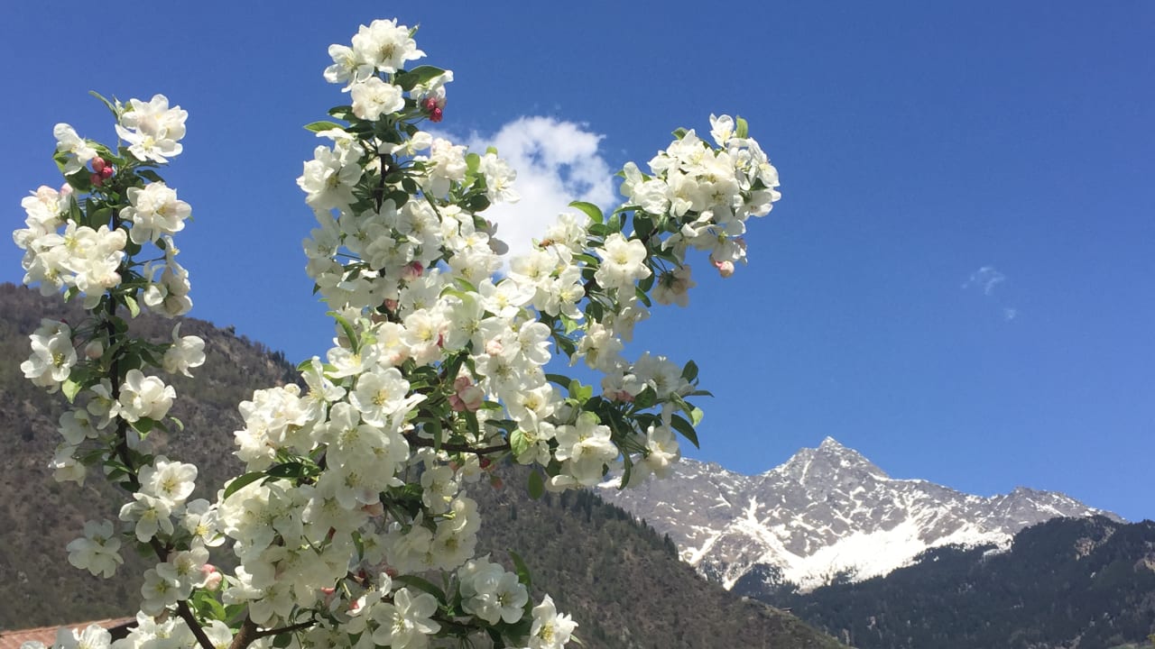 Ausblick Hotel Hanswirt