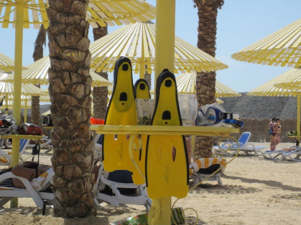 Wichtige Begleiter Hilton Marsa Alam Nubian Resort