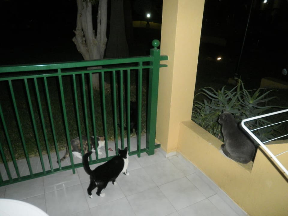 "Stammgäste" Atlantic Garden Beach Mate