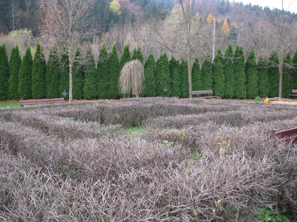 Labirynt z żywopłotu w ogrodzie Hotel Klimek Spa