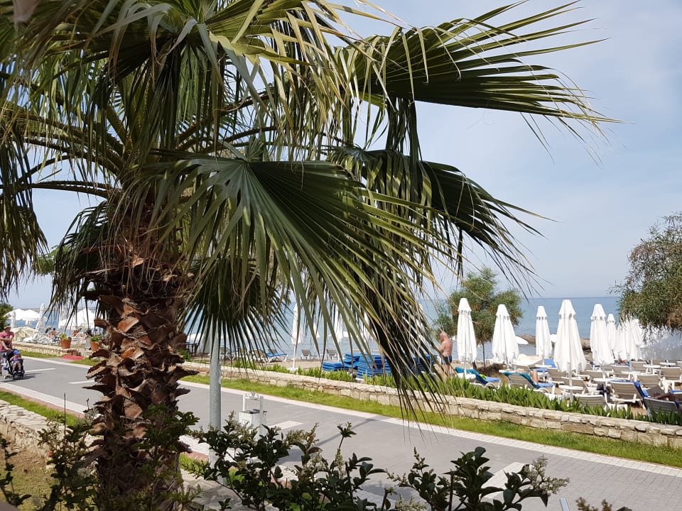 Blick von der Strandbar auf Promenade und Beach Can Garden Beach