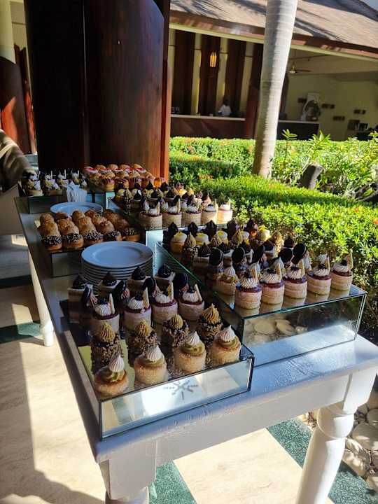 Gastro TRS Turquesa Hotel - Adults only