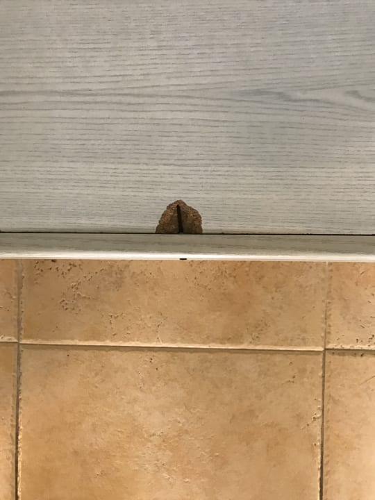 Zimmer Iberostar Waves Ciudad Blanca