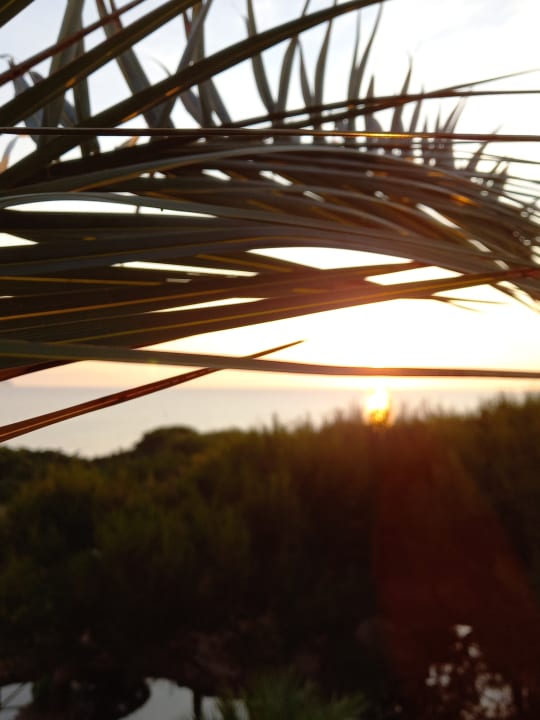 Ausblick Zafiro Bahia