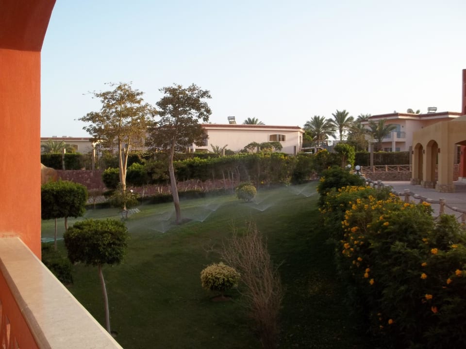 Ogród Sharm Grand Plaza Resort