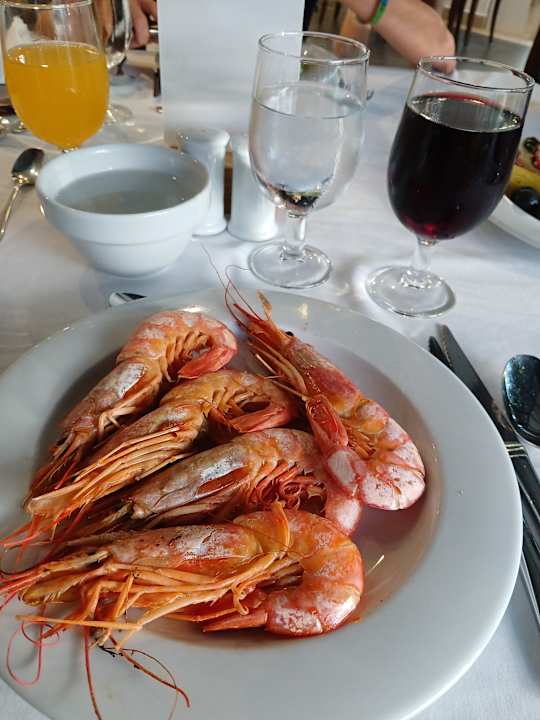 Gastro Iberostar Waves Bellevue